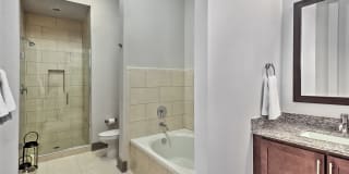 The Collection Gallery 12