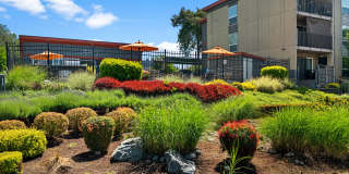 The Aviator apartments Gallery 51