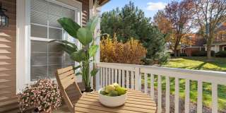 The Reserve at Summerfield Gallery 16