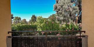 5022 Lakeview Dr. Gallery 21