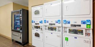 Billings - West End Gallery 16