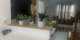 409 Pewter Ct Gallery 3