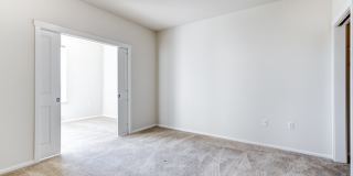 Apex Apartments Gallery 15