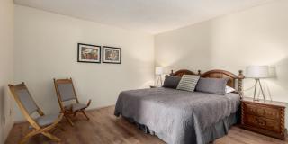 4254 E La Cienega Drive Gallery 14
