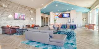 One 305 Central Gallery 26