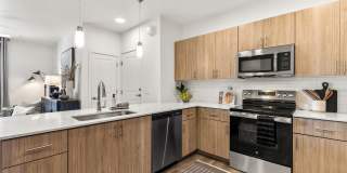 Amavida Marana Gallery 14