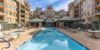 2302 N Central Ave #311, Phoenix  - Awesome Home in Central Phoenix-Great Location!!! Gallery 23