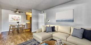 Gilbert Square Gallery 4