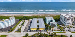 Dolphin Beach Gallery 28