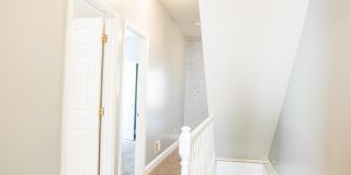 1532 Druid Hill Ave Gallery 15