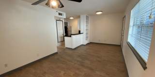 AVAILABLE:  2 BR-1 BA Hyde Park Condo / Laminate Wood Floors / Close to UT and Downtown Gallery 18