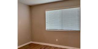 Marine Park Gallery 56