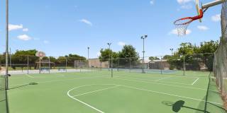 Stonehill Gallery 43