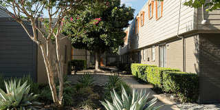 La Bella Apartments Gallery 7