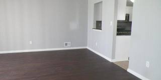 101 Hyacinth Lane Gallery 8