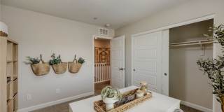 911 Cadence View Way Gallery 10