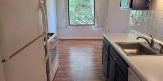 8709 HAYSHED LN #33 Gallery 7