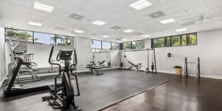 Copeland Village Gallery 4