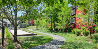 Conifer Place Apartments Gallery 16