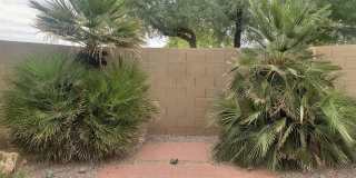 45967 W Starlight Drive Gallery 47