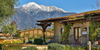 The Terrace Apartments Gallery 7