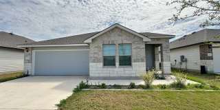 Viewable Now! Dogs Accepted! Gallery 1