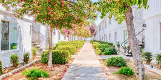 Arbor Collection Gallery 1