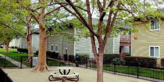 The Palms The Palms Gallery 16