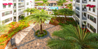 Orchid Run Apartments Gallery 41