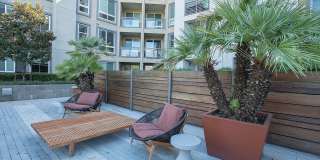 Aster - Affordable Housing Gallery 20