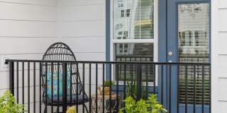 Solis Buffaloe Gallery 28