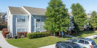 Blue Ridge Gallery 19