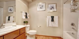 Echo Lake Gallery 22