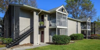 The Lory of Panama City Gallery 6