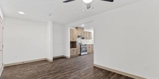 Libertad Austin Gallery 16