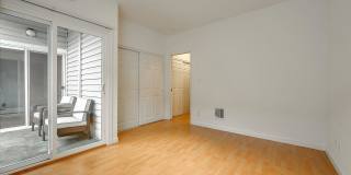 481 Clementina Street Gallery 4