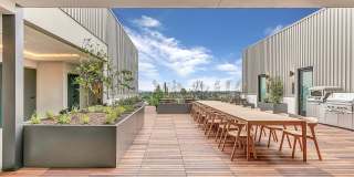 The Rinrose Gallery 15