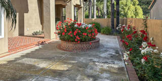 Beautiful Marina Hills Home! Gallery 5