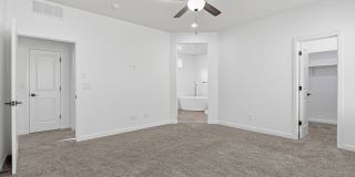 4512 Mark Avizo Gallery 24