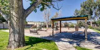 The Meridian at Lakewood Gallery 34