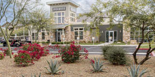 Ironwood at Happy Valley Gallery 1