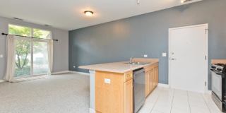 1515 S Halsted St Unit 214, Chicago, IL 60607 Gallery 6