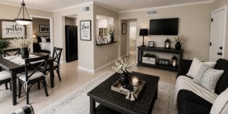 Venetian on Ella Gallery 13