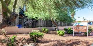 1521 West Denton Lane Gallery 29