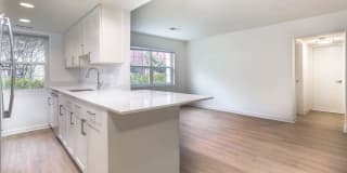 Sheffield Court Gallery 15