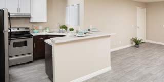 Forest Glen Gallery 23