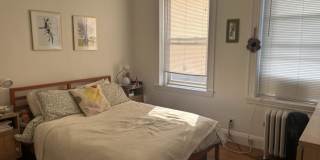 229 Kelton St. Gallery 9