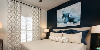 The Madison Apartments Gallery 4