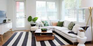 Anthology Apartments Gallery 8