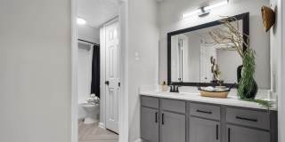 The Jaxon Gallery 31